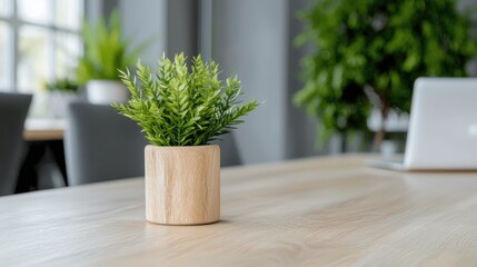 Office plant, desk, laptop, greenery, modern workspace