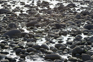 羽音が響く場所