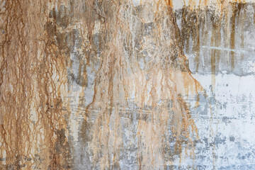 USA, Washington State, Whidbey Island. Fort Casey Historical State Park, rusty wall abstract