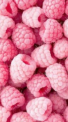   A bunch of pink raspberries with white dots on top