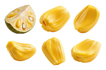 Fresh jackfruit pieces and one segment isolated on transparent background
