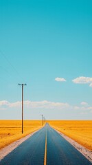 Rural road, yellow field, clear sky, power lines; travel, freedom