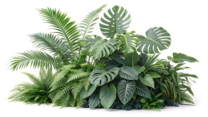 Lush Green Tropical Plants Bush Isolated White Background.