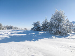 Winter Landscape of Vitosha Mountain, Bulgaria