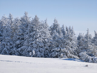 Winter Landscape of Vitosha Mountain, Bulgaria