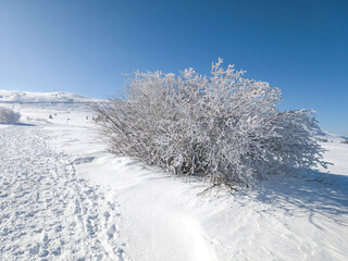 Winter Landscape of Vitosha Mountain, Bulgaria