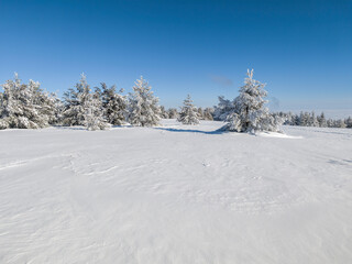 Winter Landscape of Vitosha Mountain, Bulgaria