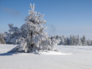 Winter Landscape of Vitosha Mountain, Bulgaria