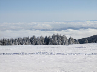Winter Landscape of Vitosha Mountain, Bulgaria