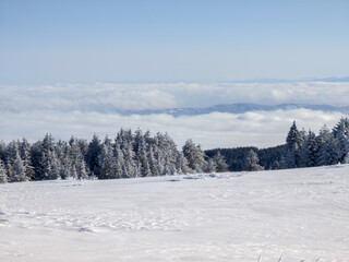 Winter Landscape of Vitosha Mountain, Bulgaria