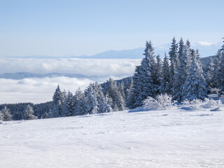 Winter Landscape of Vitosha Mountain, Bulgaria