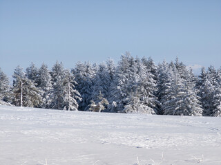 Winter Landscape of Vitosha Mountain, Bulgaria