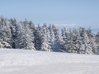 Winter Landscape of Vitosha Mountain, Bulgaria