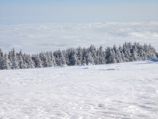 Winter Landscape of Vitosha Mountain, Bulgaria