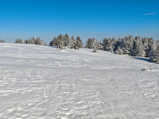 Winter Landscape of Vitosha Mountain, Bulgaria