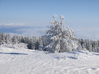 Winter Landscape of Vitosha Mountain, Bulgaria