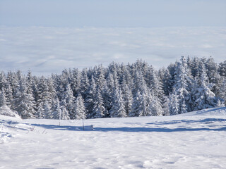 Winter Landscape of Vitosha Mountain, Bulgaria