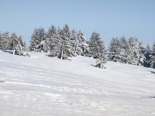 Fototapeta premium Winter Landscape of Vitosha Mountain, Bulgaria