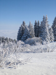 Winter Landscape of Vitosha Mountain, Bulgaria