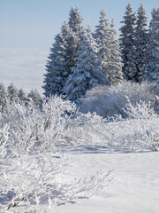Winter Landscape of Vitosha Mountain, Bulgaria