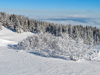 Winter Landscape of Vitosha Mountain, Bulgaria