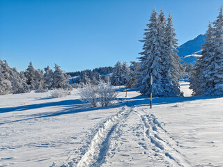 Winter Landscape of Vitosha Mountain, Bulgaria