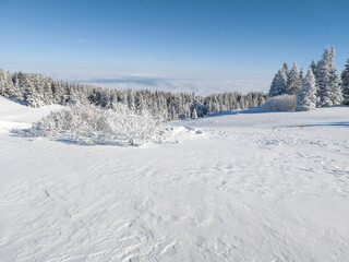 Winter Landscape of Vitosha Mountain, Bulgaria