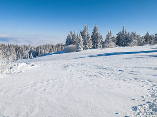 Winter Landscape of Vitosha Mountain, Bulgaria