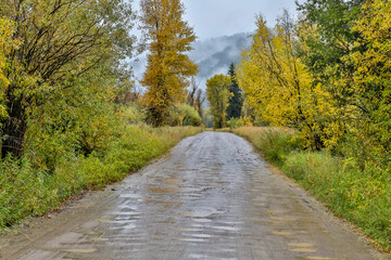 USA, Wyoming, Hoback. Heavy rains on dirt road autumn time