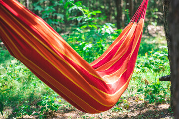 Relaxing in a hammock outdoors in the forest