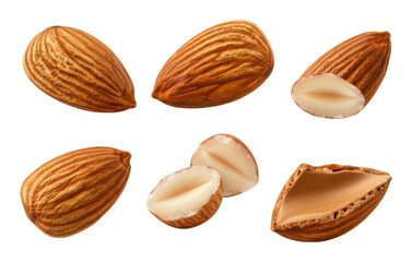Whole, halved, split, and cracked almonds with detailed textures