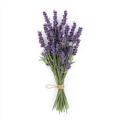 Fototapeta premium A bunch of freshly picked lavender, tied with a simple twine, the purple flowers - Generative AI
