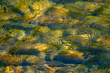 Grand Teton National Park, Wyoming, USA. Shallow river and rocks in the Snake River.