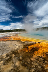 USA, Wyoming. Hot spring runoff, Rainbow Pool, Yellowstone National Park.