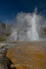 USA, Wyoming. Grand Geyser eruption, Yellowstone National Park.