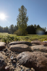 a part of the road made of cobblestones, an old-style pavement