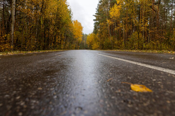 Obraz premium a small paved road in autumn is wet after rain
