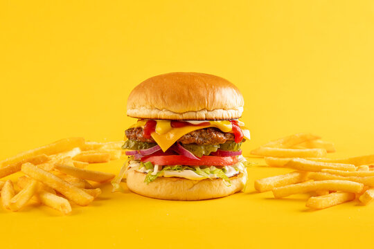 Gourmet Cheese burger on colorful background