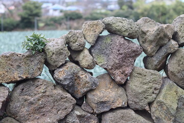 old stone wall