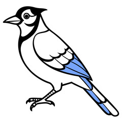 Blue Jay Bird Vector Illustration – Cartoon, Clipart & Line Art on White Background, Blue Jay bird vector illustration in cartoon, clipart, and line art style on a white background.