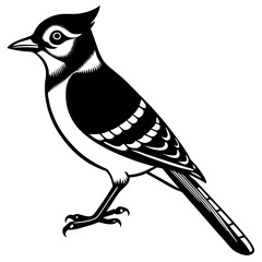 Blue Jay Bird Vector Illustration – Cartoon, Clipart & Line Art on White Background, Blue Jay bird vector illustration in cartoon, clipart, and line art style on a white background.