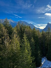 The Pacific Northwest: Where Mist Meets Mountains