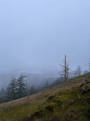 The Pacific Northwest: Where Mist Meets Mountains