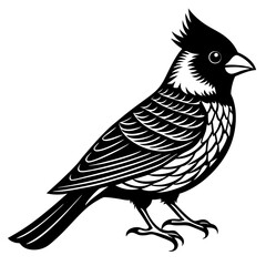 Cardinal Bird Vector Illustration – Cartoon, Clipart & Line Art Design on White Background,  Cardinal bird vector illustration in cartoon, clipart, and line art styles on a white background.