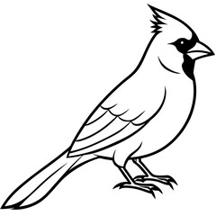 Cardinal Bird Vector Illustration – Cartoon, Clipart & Line Art Design on White Background,  Cardinal bird vector illustration in cartoon, clipart, and line art styles on a white background.