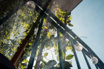 Fototapete bei efototapeten.de bestellen   