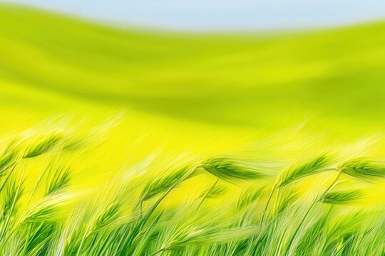 Blurred motion of green grass in a windy field with rolling yellow hills in the background, creating a serene nature scene, evoking tranquility, movement, and landscape concept
