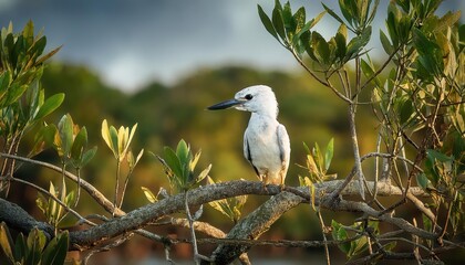 Vivid Kingfisher perched amidst lush Mangroves at Sunset, showcasing a Symphony of Colors and Textures in Tropical Wetlands