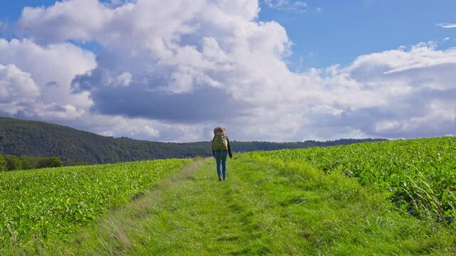 Camera rising above lush green farmland and rolling hills as backpacking hiker walks away on grassy path, Rhine Valley, Germany