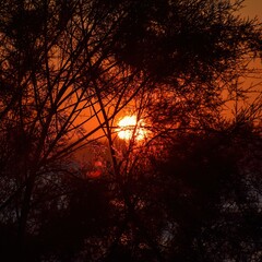 Fototapeta premium Abstract Sunset in Brac, Croatia